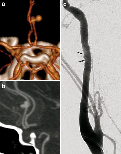 Fig. 8