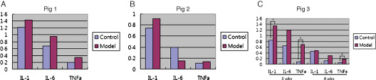 Figure 13