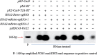 Figure 4.