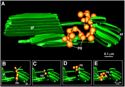 Figure 5.