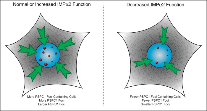 FIGURE 5: