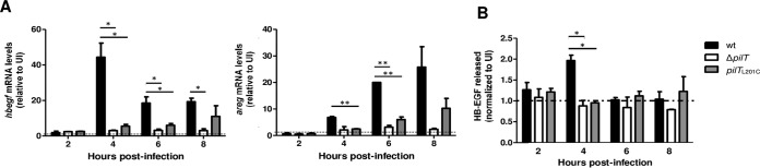 FIG 6 