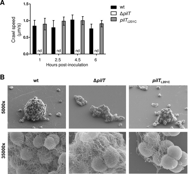 FIG 3 