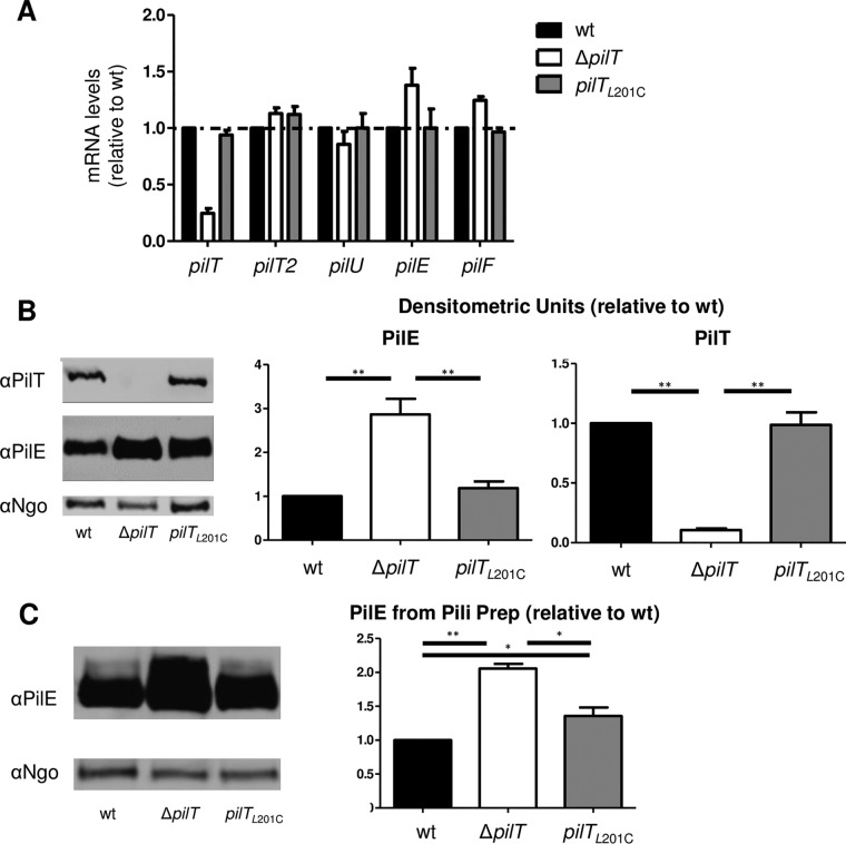 FIG 2 