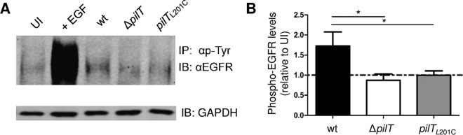 FIG 5 