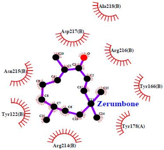 Figure 7