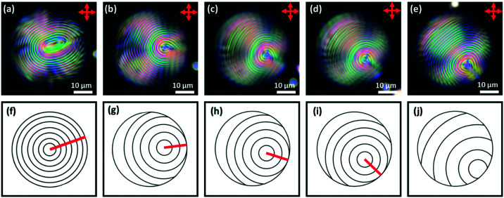 Fig. 12