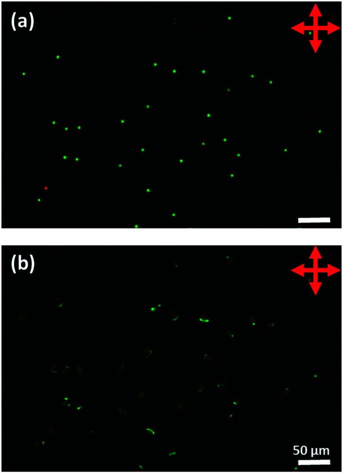 Fig. 15