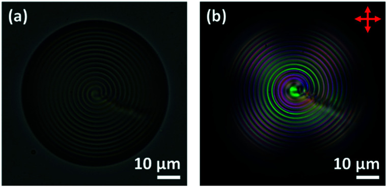 Fig. 11