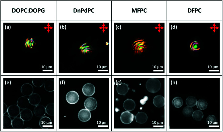 Fig. 10