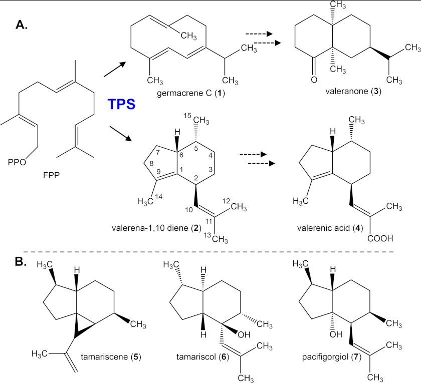 FIGURE 1.