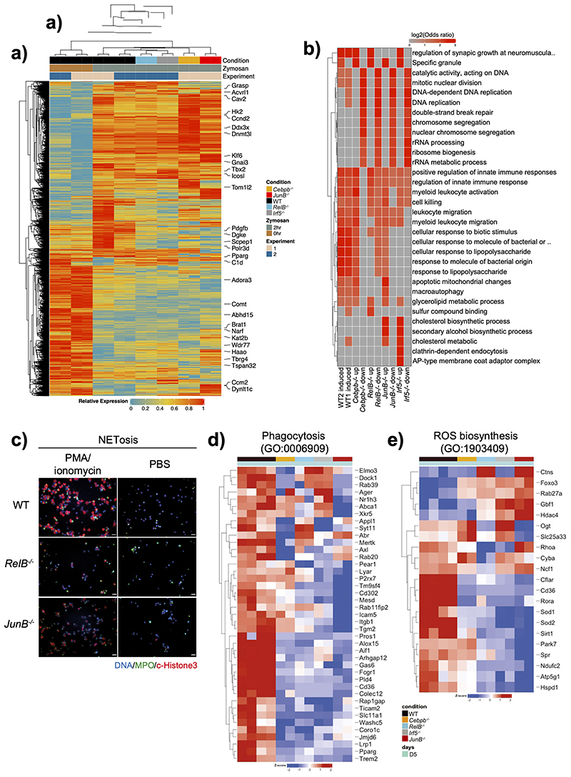 Extended Data Fig. 8