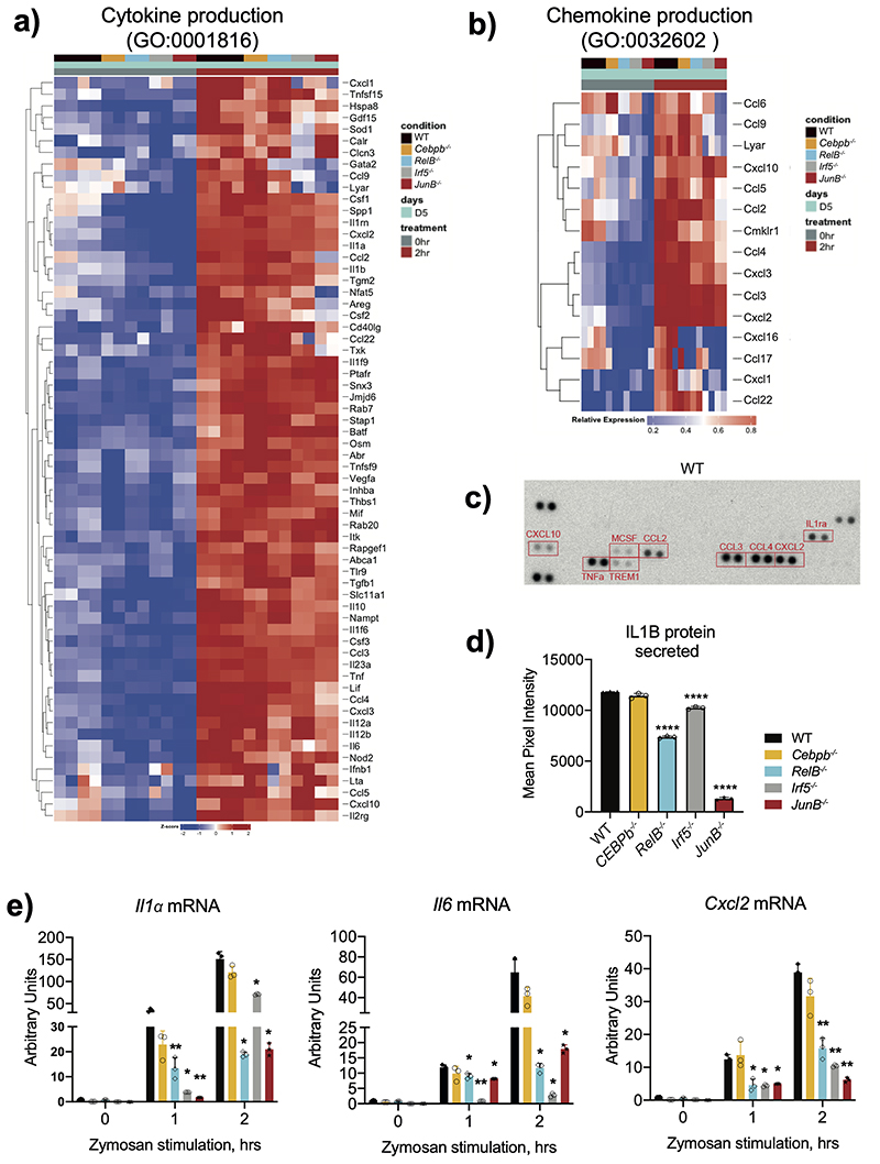 Extended Data Fig. 9