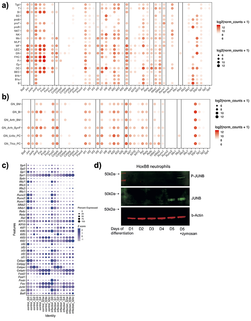 Extended Data Fig. 4