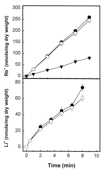 FIG. 7