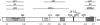 Fig. (1).