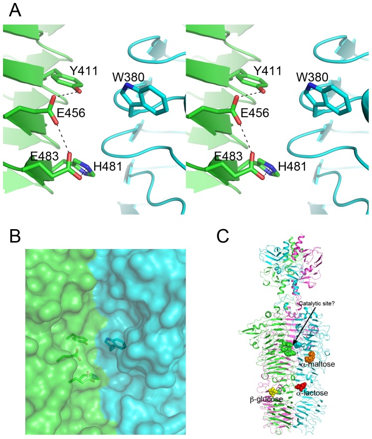 Figure 7