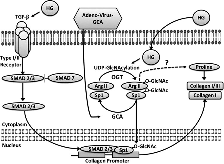 Fig. 11.