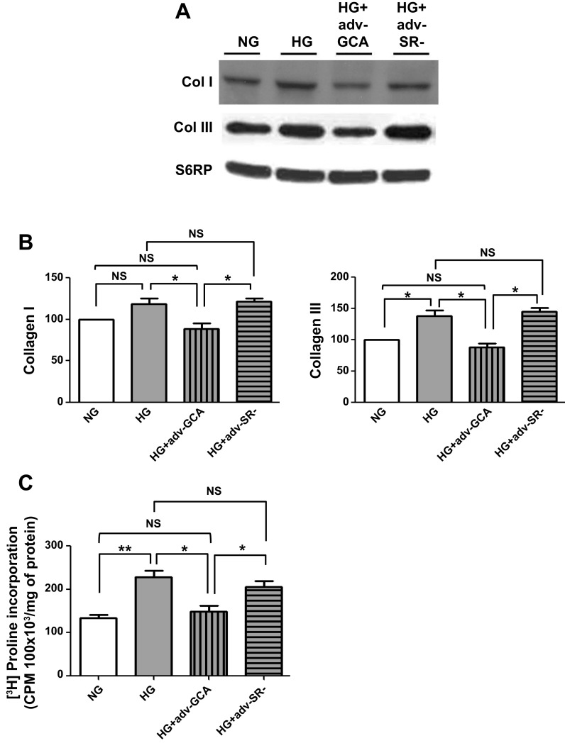 Fig. 9.