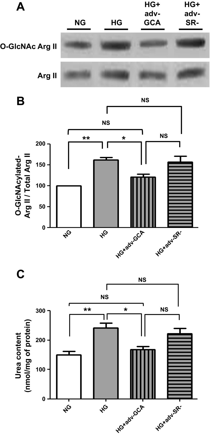 Fig. 10.