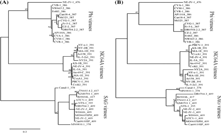 FIG 4