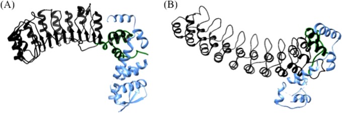 FIG 3