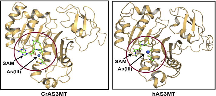 Fig.1