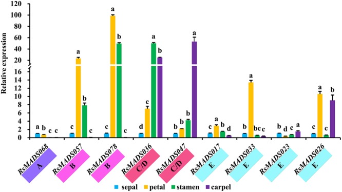 FIGURE 6