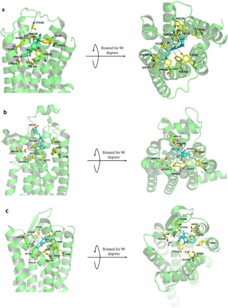 Fig. 9