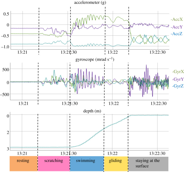 Figure 1.