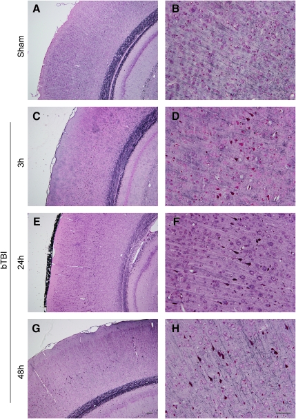 FIG. 6.