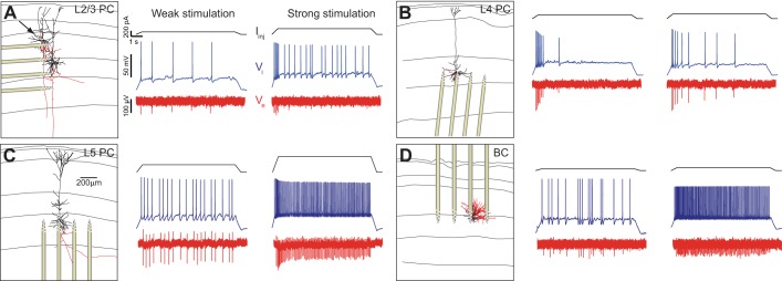 Fig. 1.