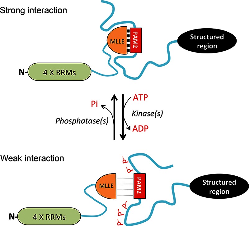 FIGURE 5.