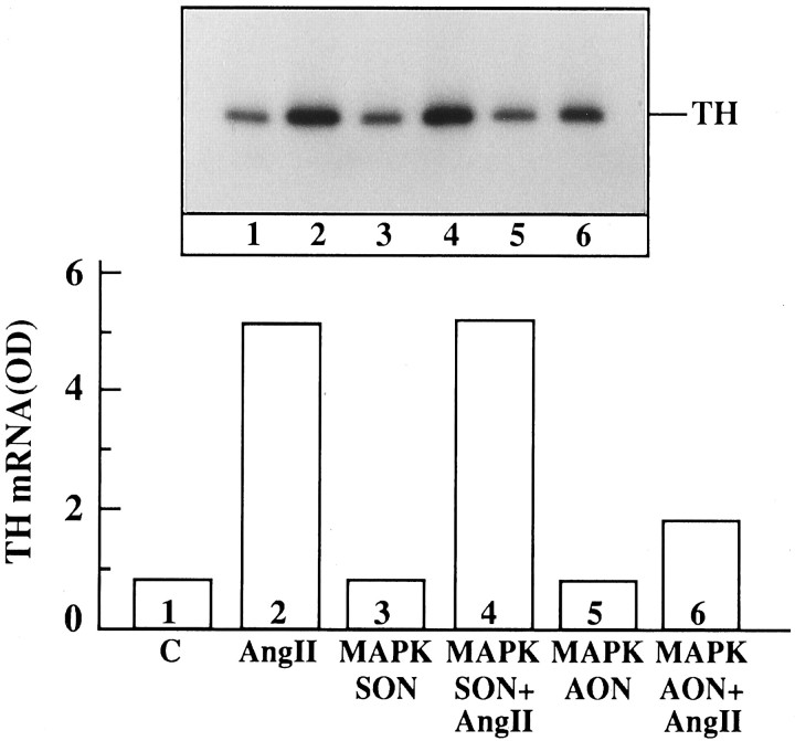 Fig. 14.