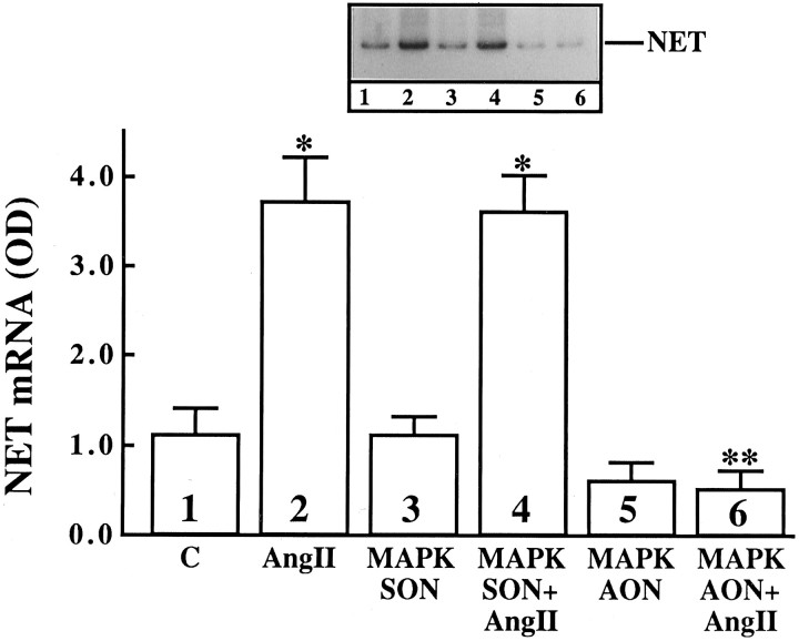 Fig. 13.