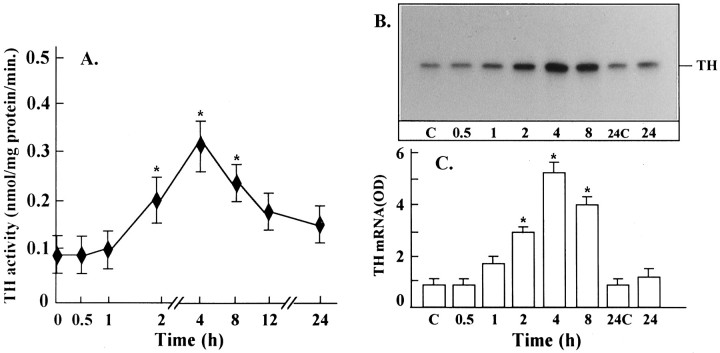 Fig. 12.