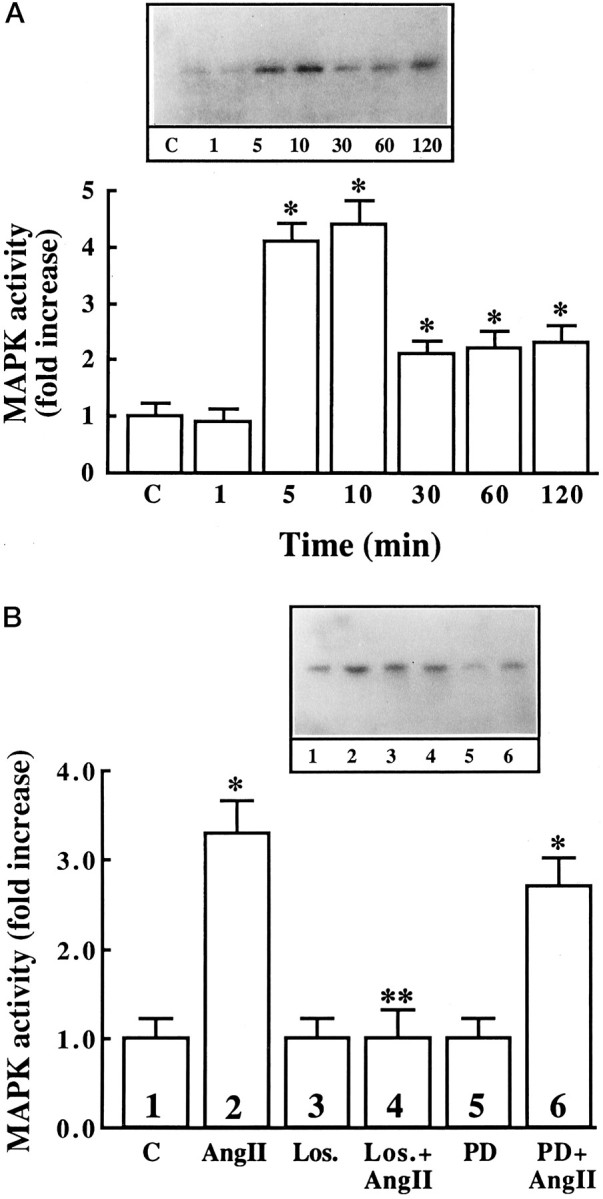 Fig. 10.