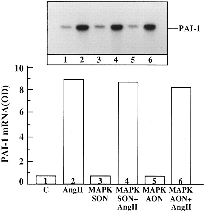 Fig. 17.