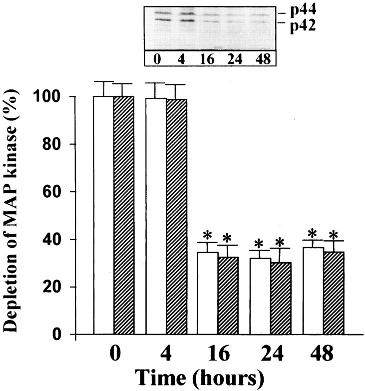 Fig. 16.