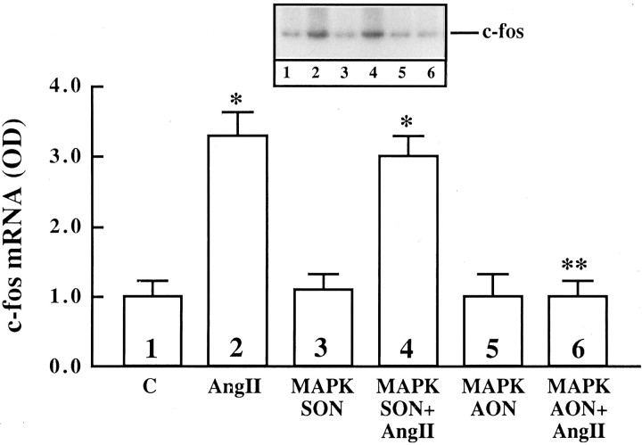 Fig. 15.