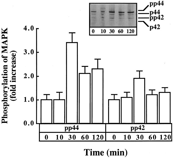 Fig. 11.