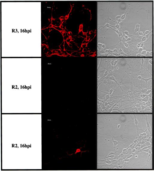 FIG. 6