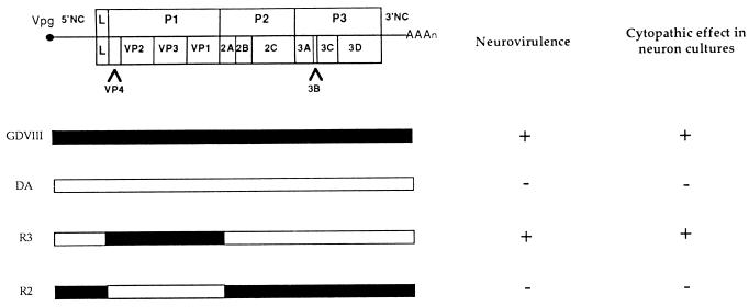 FIG. 5