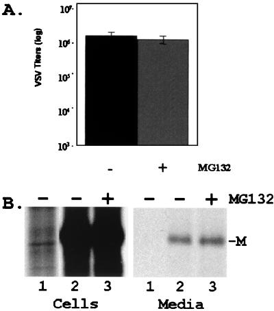 FIG. 5