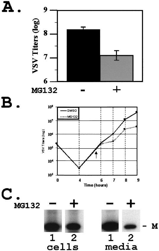 FIG. 3