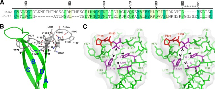 FIG 2