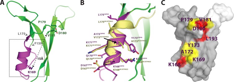 FIG 6