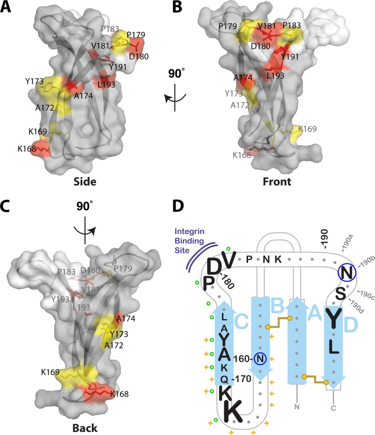 FIG 4