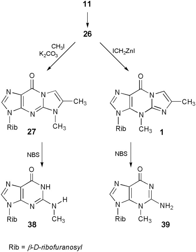 Scheme 9