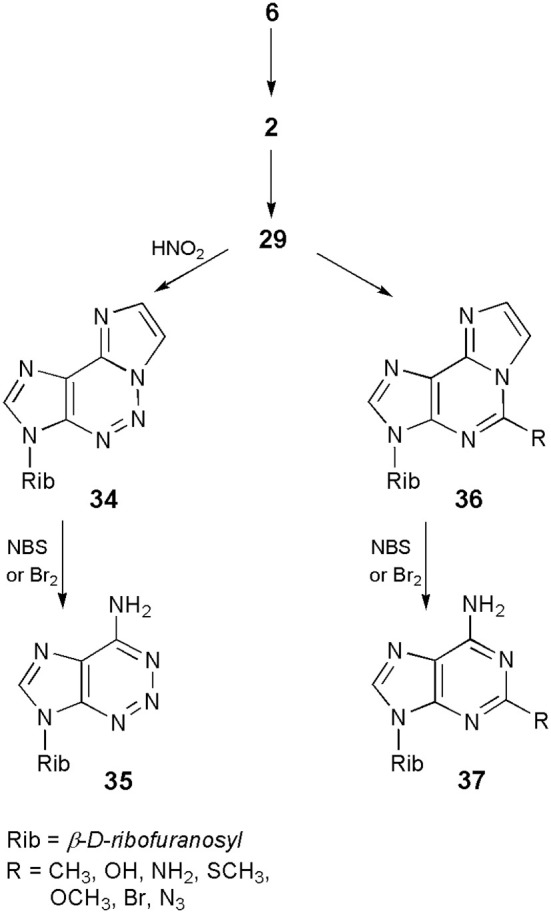 Scheme 8